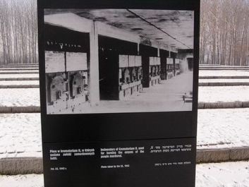 Auschwitz_14